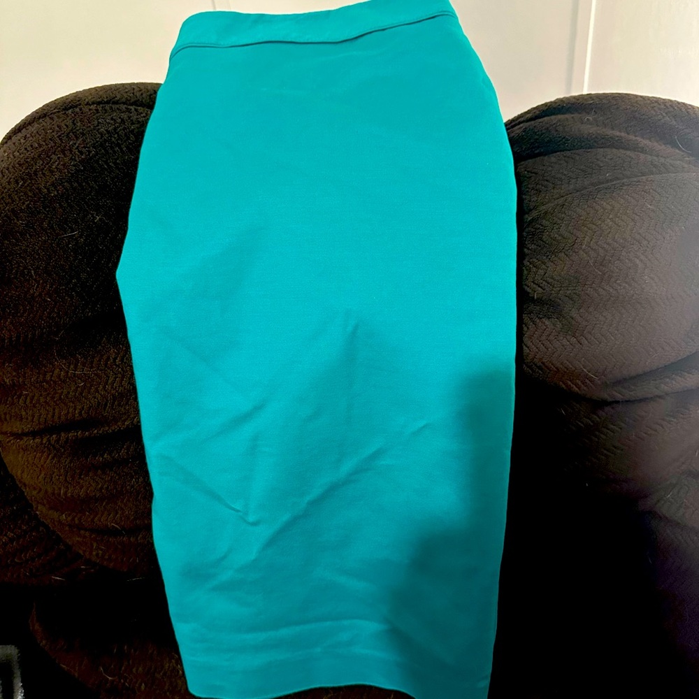 Liz Claiborne ladies green skirt size 12